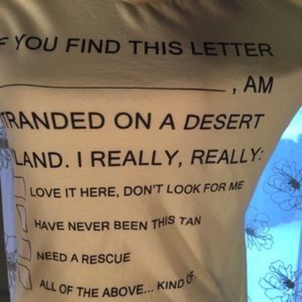 WILDFOX ISLAND MESSAGE TEE NWOT! - Picture 3 of 6